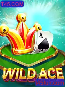 Desvende o Fascinante Mundo de WildAce no T45.COM